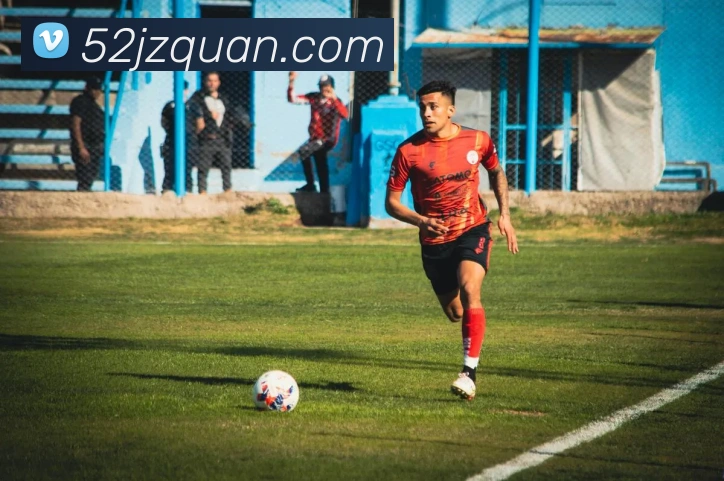 世界杯官网登录app平台生态图